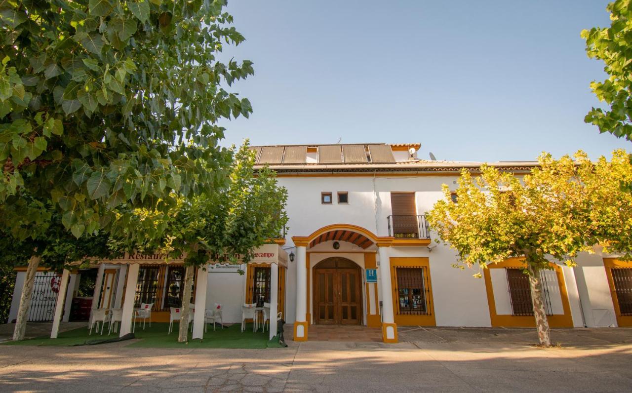 Hotel Del Carmen Prado Del Rey Eksteriør billede